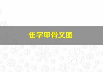 隹字甲骨文图