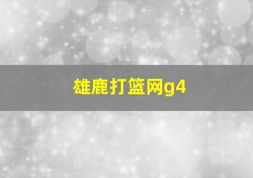 雄鹿打篮网g4