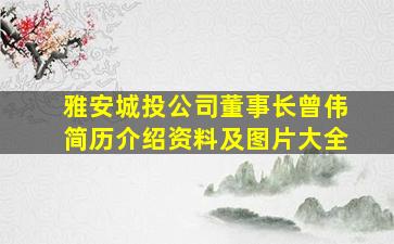 雅安城投公司董事长曾伟简历介绍资料及图片大全