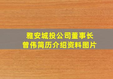 雅安城投公司董事长曾伟简历介绍资料图片