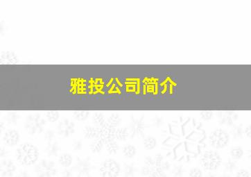 雅投公司简介