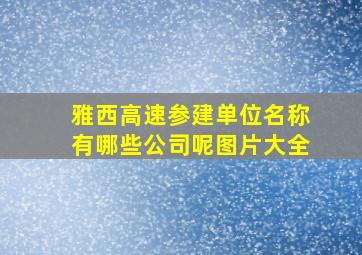 雅西高速参建单位名称有哪些公司呢图片大全