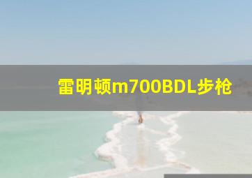 雷明顿m700BDL步枪