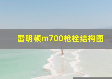 雷明顿m700枪栓结构图