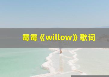 霉霉《willow》歌词