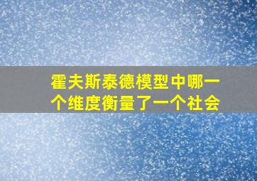 霍夫斯泰德模型中哪一个维度衡量了一个社会