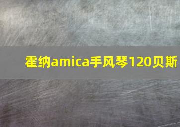 霍纳amica手风琴120贝斯