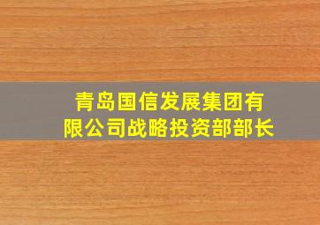 青岛国信发展集团有限公司战略投资部部长