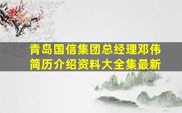 青岛国信集团总经理邓伟简历介绍资料大全集最新