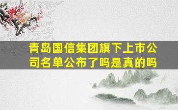 青岛国信集团旗下上市公司名单公布了吗是真的吗