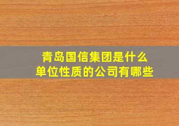 青岛国信集团是什么单位性质的公司有哪些