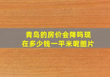 青岛的房价会降吗现在多少钱一平米呢图片