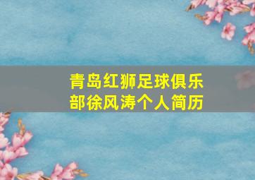 青岛红狮足球俱乐部徐风涛个人简历