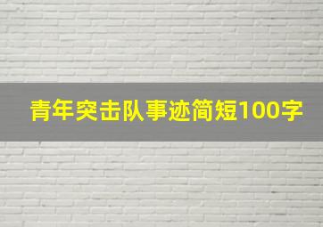 青年突击队事迹简短100字