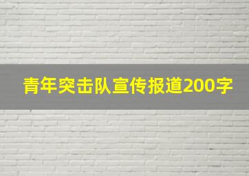 青年突击队宣传报道200字