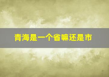 青海是一个省嘛还是市