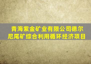 青海紫金矿业有限公司德尔尼尾矿综合利用循环经济项目