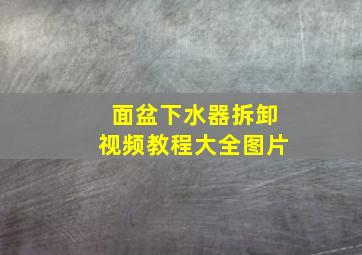 面盆下水器拆卸视频教程大全图片