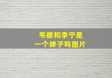 韦德和李宁是一个牌子吗图片