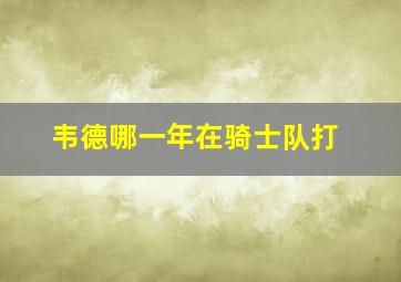 韦德哪一年在骑士队打