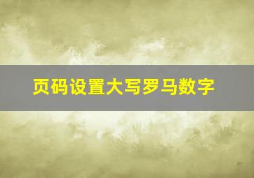 页码设置大写罗马数字