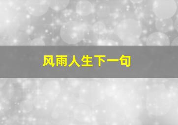 风雨人生下一句