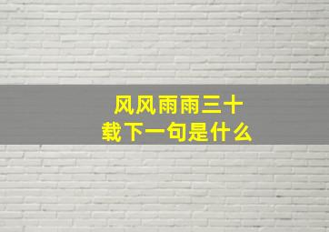 风风雨雨三十载下一句是什么