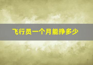 飞行员一个月能挣多少