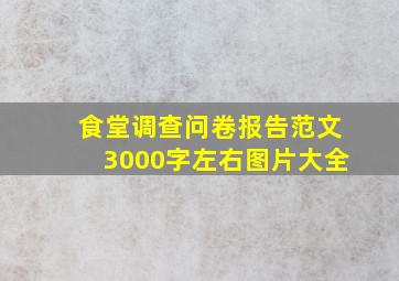 食堂调查问卷报告范文3000字左右图片大全