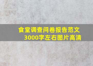 食堂调查问卷报告范文3000字左右图片高清