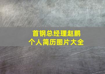 首钢总经理赵鹏个人简历图片大全