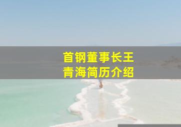 首钢董事长王青海简历介绍