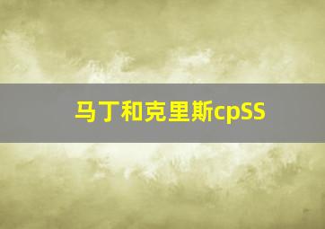 马丁和克里斯cpSS