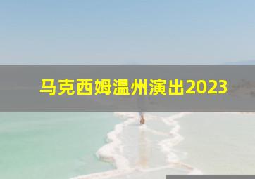 马克西姆温州演出2023