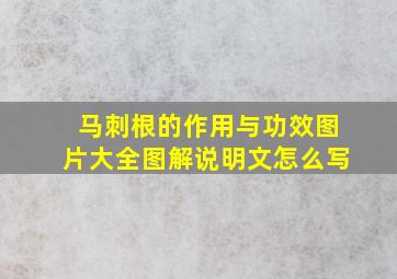 马刺根的作用与功效图片大全图解说明文怎么写