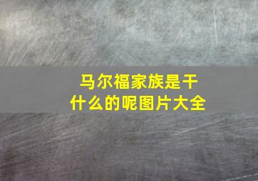 马尔福家族是干什么的呢图片大全