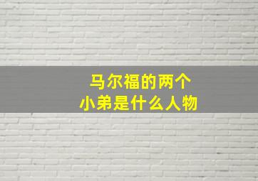 马尔福的两个小弟是什么人物