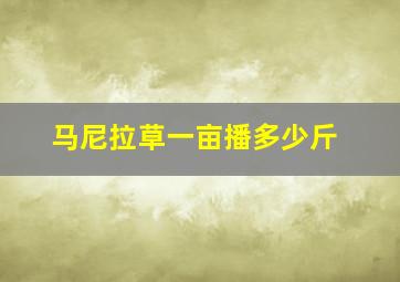 马尼拉草一亩播多少斤