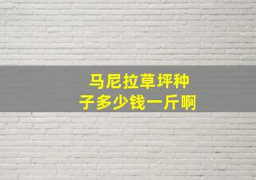 马尼拉草坪种子多少钱一斤啊