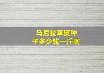 马尼拉草皮种子多少钱一斤啊