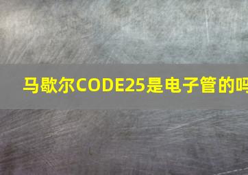 马歇尔CODE25是电子管的吗