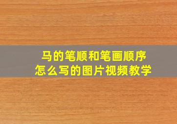 马的笔顺和笔画顺序怎么写的图片视频教学