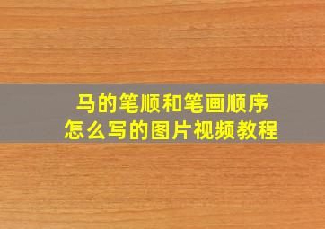 马的笔顺和笔画顺序怎么写的图片视频教程