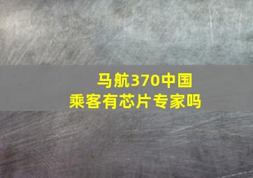 马航370中国乘客有芯片专家吗