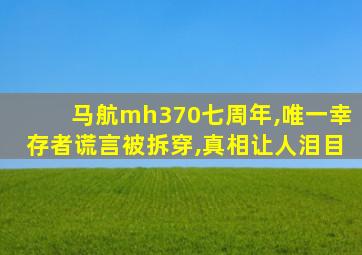 马航mh370七周年,唯一幸存者谎言被拆穿,真相让人泪目