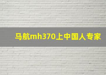 马航mh370上中国人专家