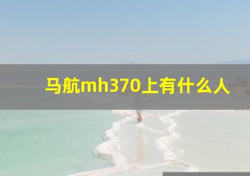 马航mh370上有什么人