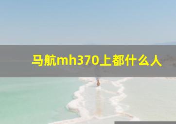 马航mh370上都什么人