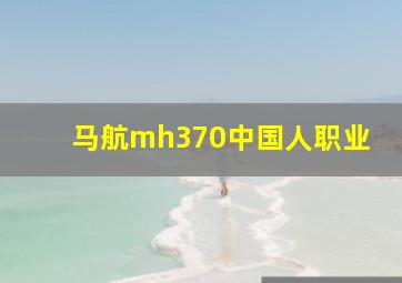 马航mh370中国人职业