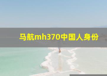 马航mh370中国人身份